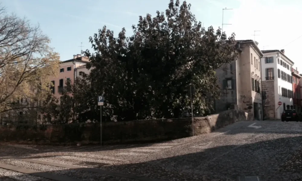 padova-centrostorico-pontesanleonardo-monolocale-arredato--8A-10