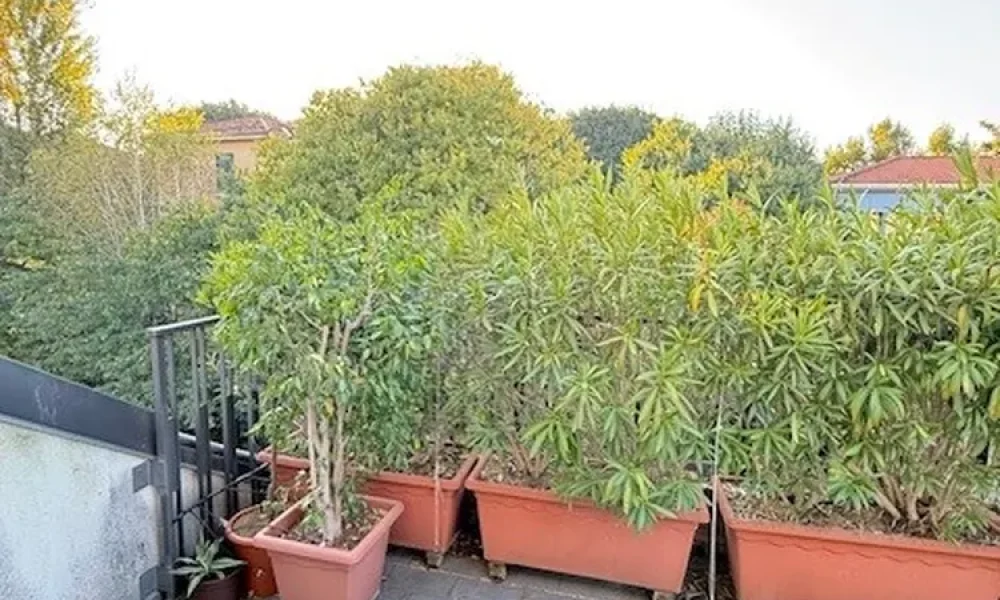 padova-zonaportasavonarola-casasingola-ampispazi-404-30