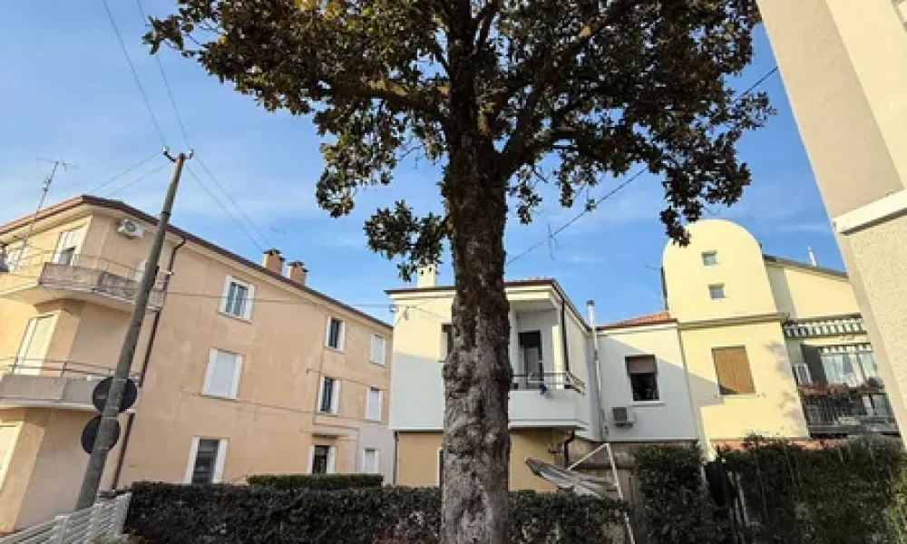 vendesi-casa-singola-zona-san-giuseppe-406-37